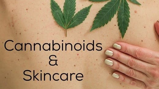 Cannabinoids and Skincare